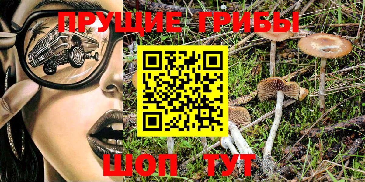 Галлюциногенные грибы Cubensis  Вход с VPN  Ярославль 