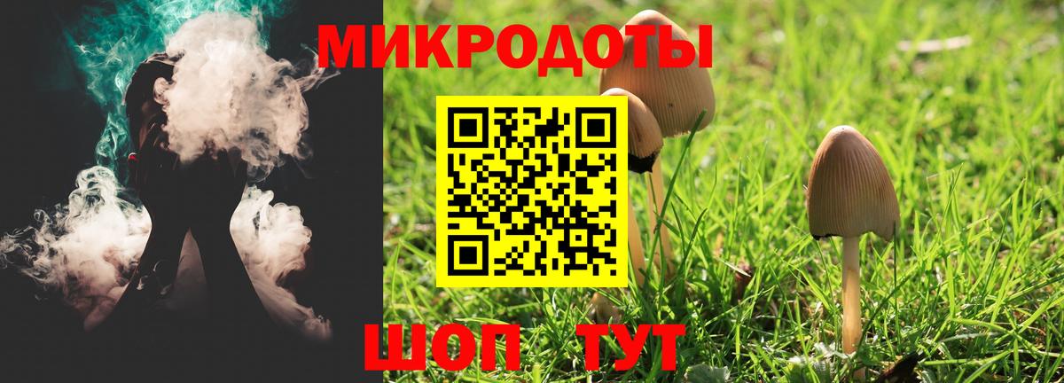 Псилоцибиновые грибы мухоморы Ярославль